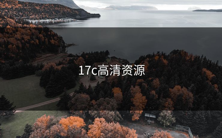 17c高清资源