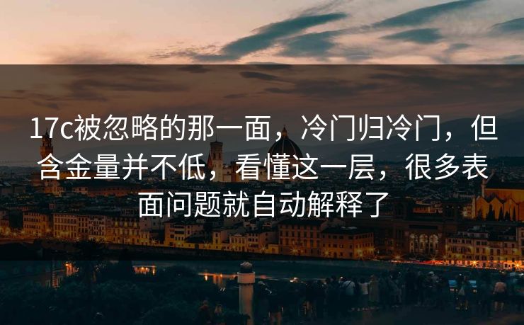 17c被忽略的那一面，冷门归冷门，但含金量并不低，看懂这一层，很多表面问题就自动解释了