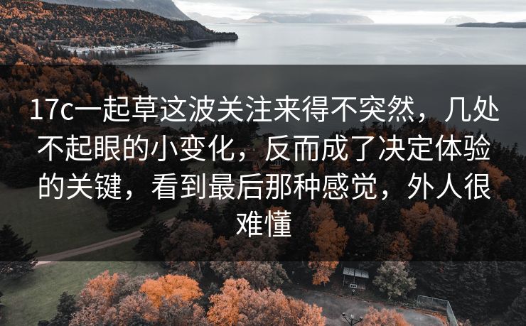 17c一起草这波关注来得不突然，几处不起眼的小变化，反而成了决定体验的关键，看到最后那种感觉，外人很难懂