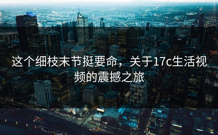 这个细枝末节挺要命，关于17c生活视频的震撼之旅